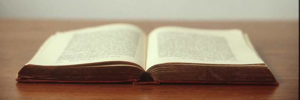 再快一点、再强一些！Wordpress 真正的无头主题